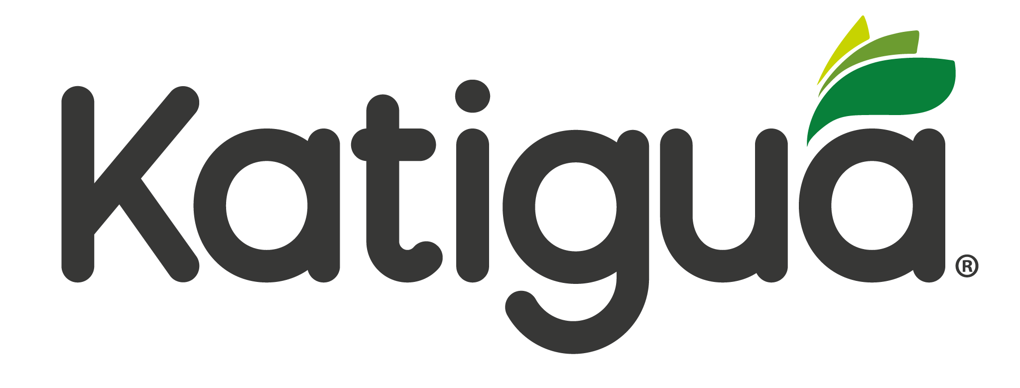 Katigua