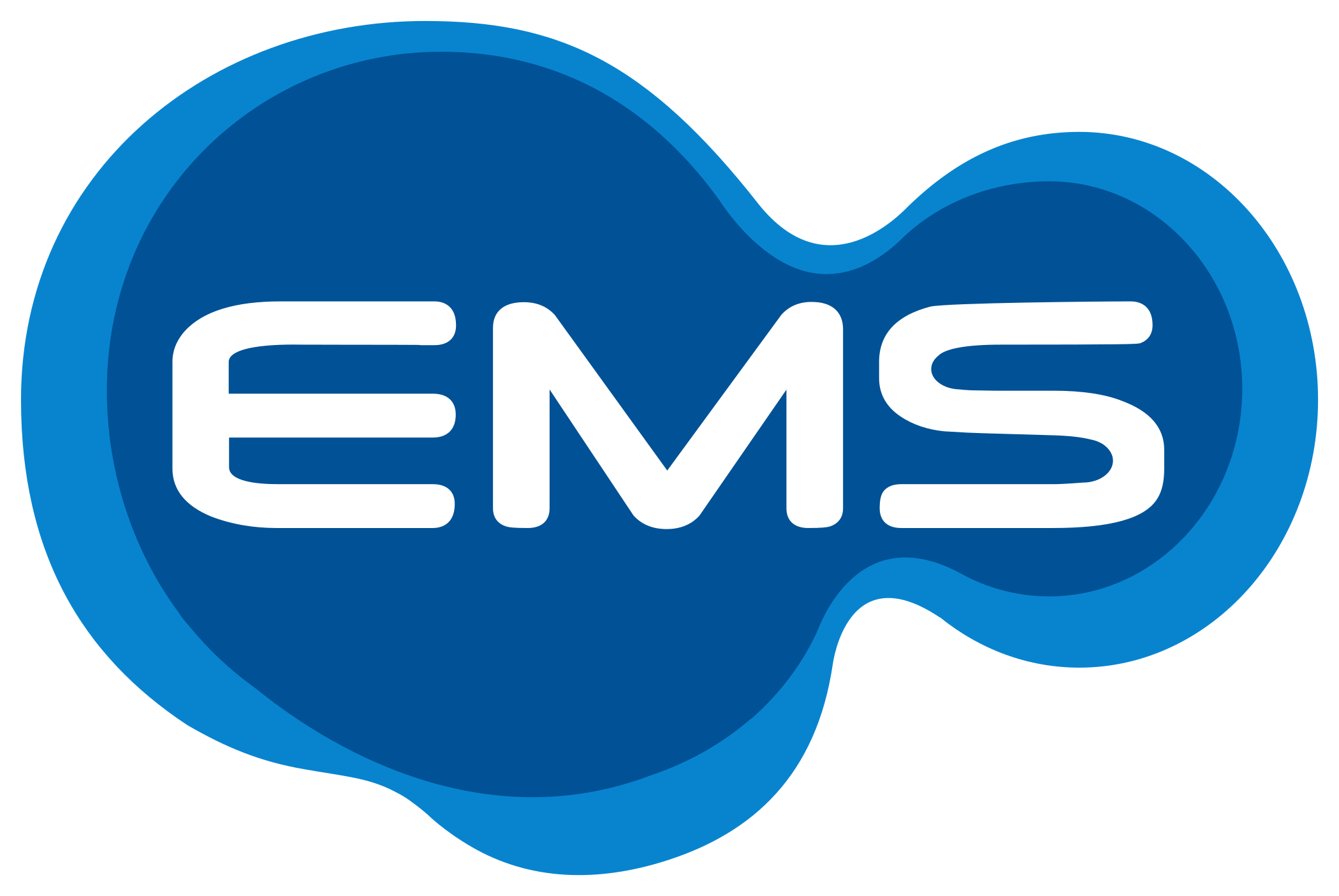 Ems Logo 1